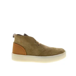 Q7123 Bota Hombre Clarks Desert Cup oakmoss Gamuza